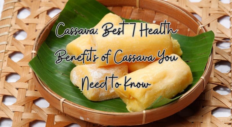 Cassava: Best 7 Health Benefits of Cassava You Need to Know