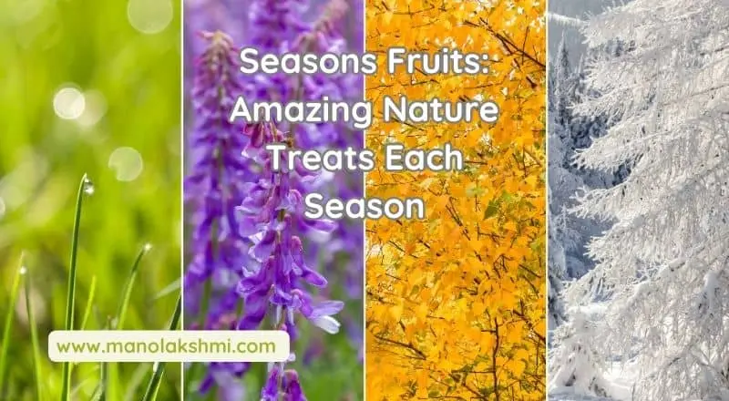 Seasons-Fruits-Amazing-Nature-Treats-Each-Season-_