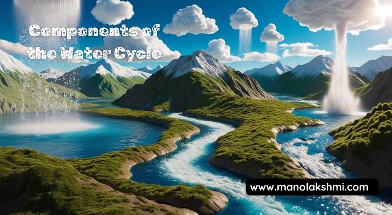 Components of the Water Cycle