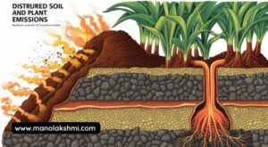Disturbance of Soil and Plant Emissions