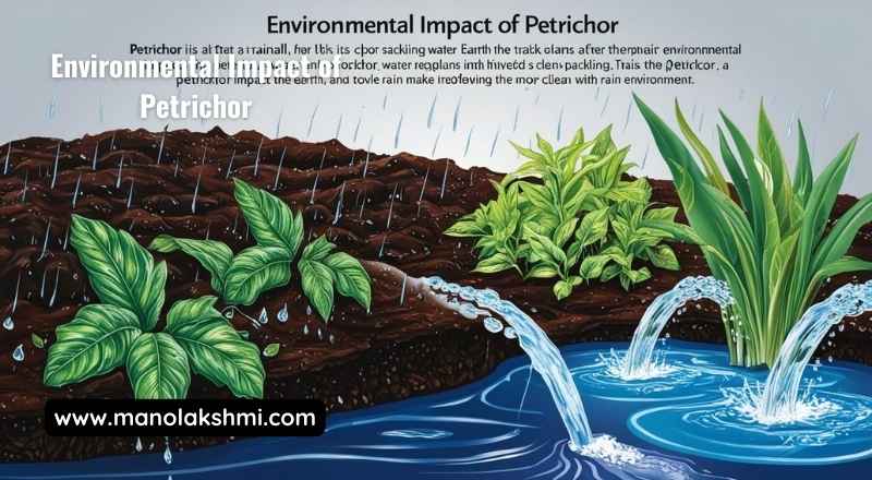 Environmental Impact of Petrichor