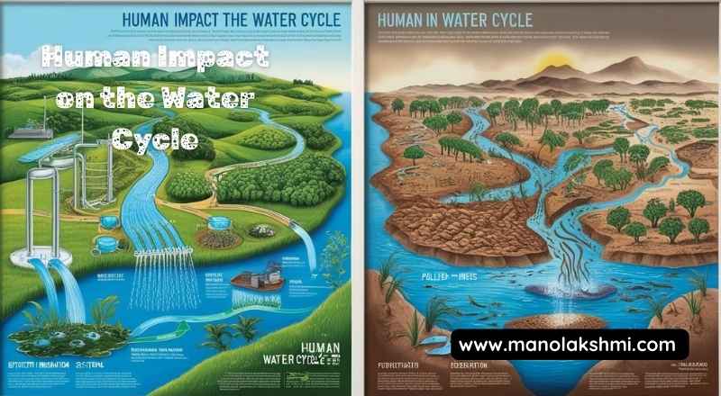 Human Impact on the Water Cycle
