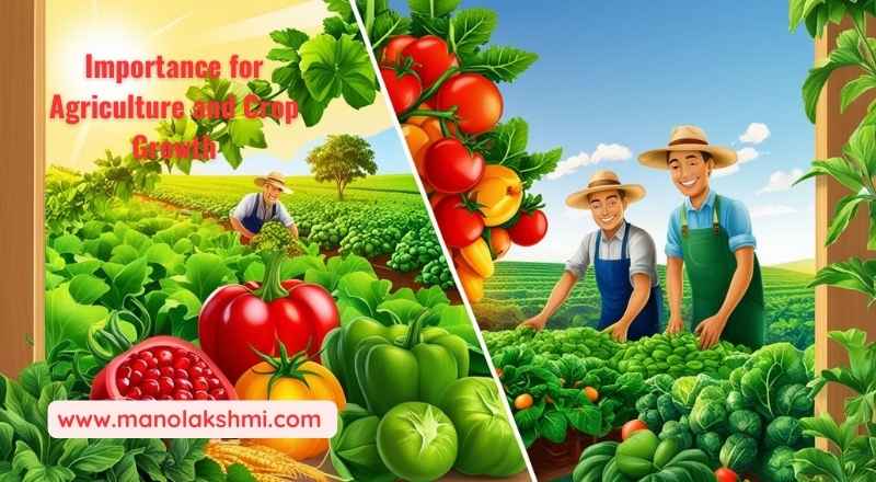 Importance for Agriculture and Crop Growth