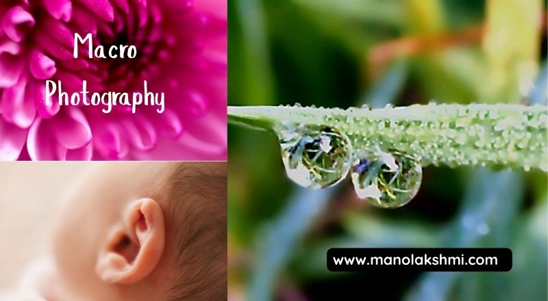 Macro Photography