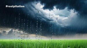 Precipitation