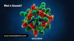 What is Geosmin?