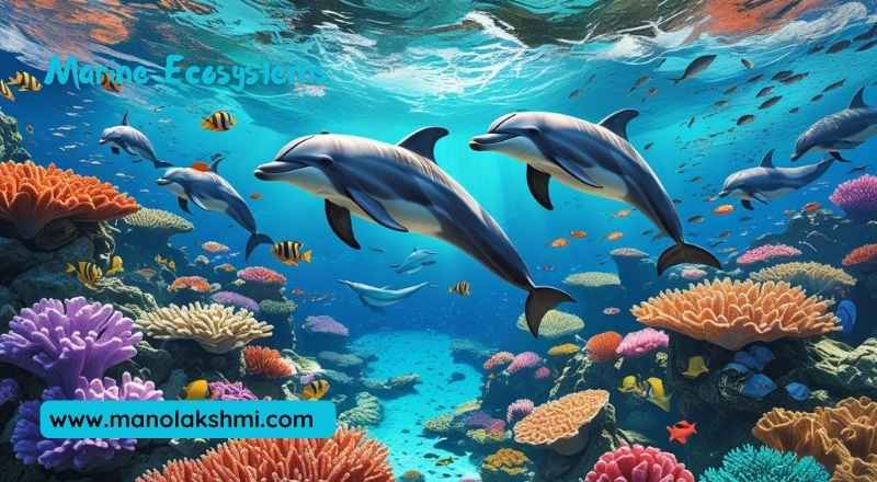 Marine Ecosystems