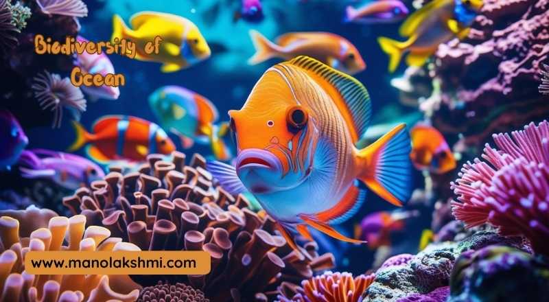 Biodiversity of Oceans