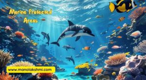 Marine Protected Areas