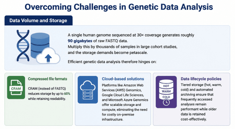 Overcoming Challenges in Genetic Data Analysis